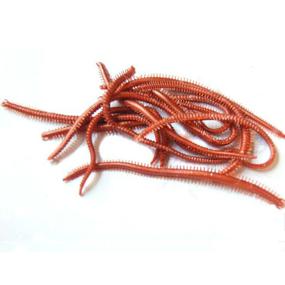 10 Buah/Lot Cacing Laut Buatan - Fishing Lure Soft Plastic ulasan dan harga